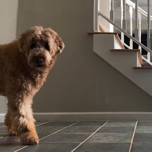 Meet your Posher, Jonathan